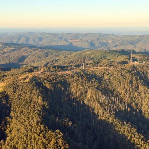 Latrobe East Scenic Helicopter Flight - 20 minutes