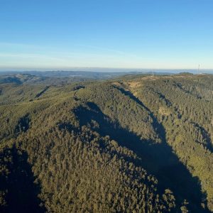 Latrobe East Scenic Helicopter Flight - 30 minutes