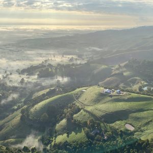 Foggy Flight – 15 minutes
