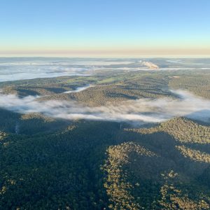 Foggy Flight – 20 minutes